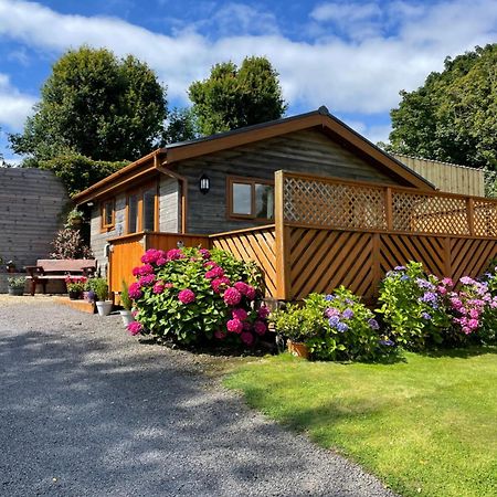 Swansea Log Cabin Pontardawe Extérieur photo