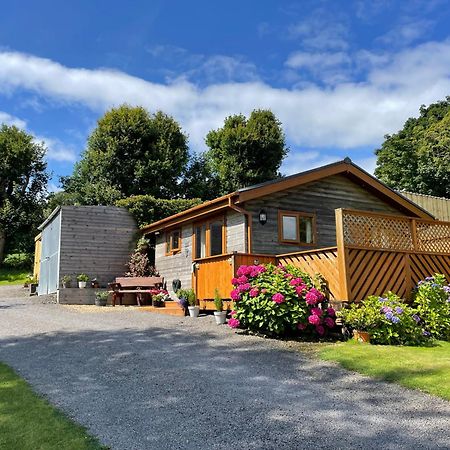 Swansea Log Cabin Pontardawe Extérieur photo