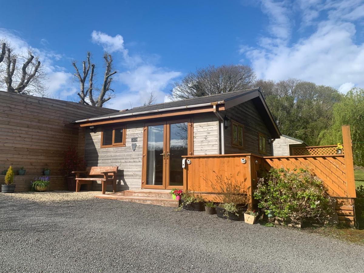 Swansea Log Cabin Pontardawe Extérieur photo