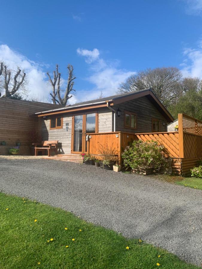 Swansea Log Cabin Pontardawe Extérieur photo