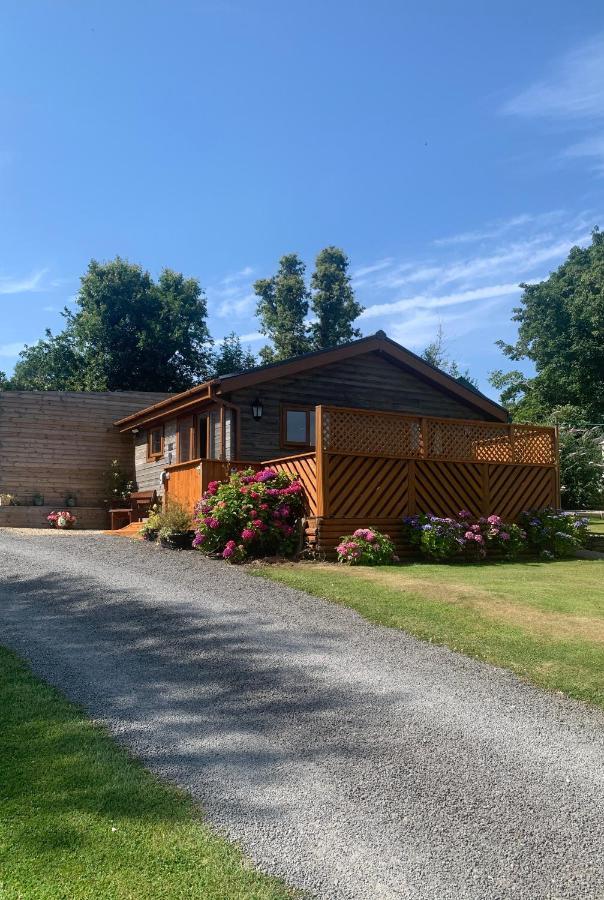 Swansea Log Cabin Pontardawe Extérieur photo