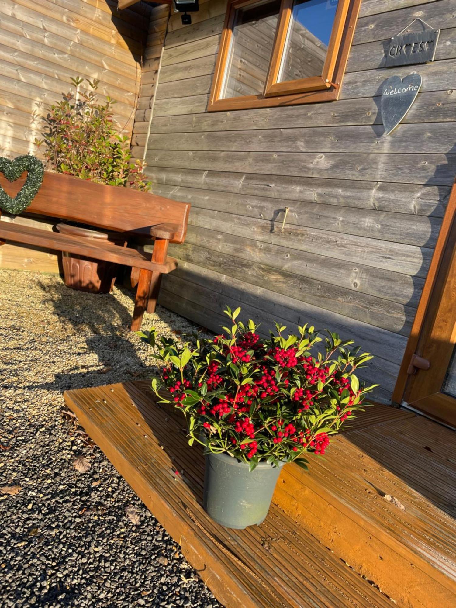Swansea Log Cabin Pontardawe Extérieur photo