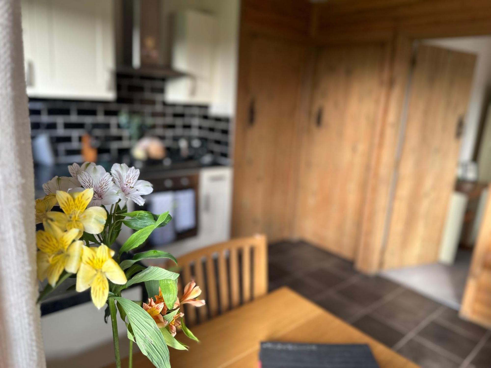 Swansea Log Cabin Pontardawe Extérieur photo
