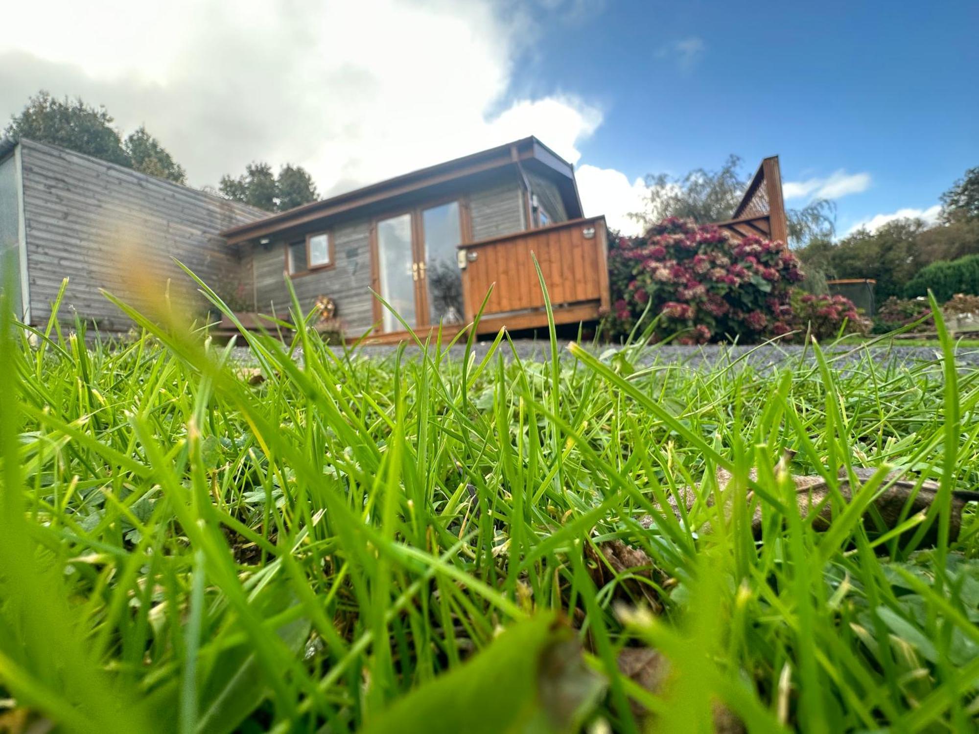 Swansea Log Cabin Pontardawe Extérieur photo