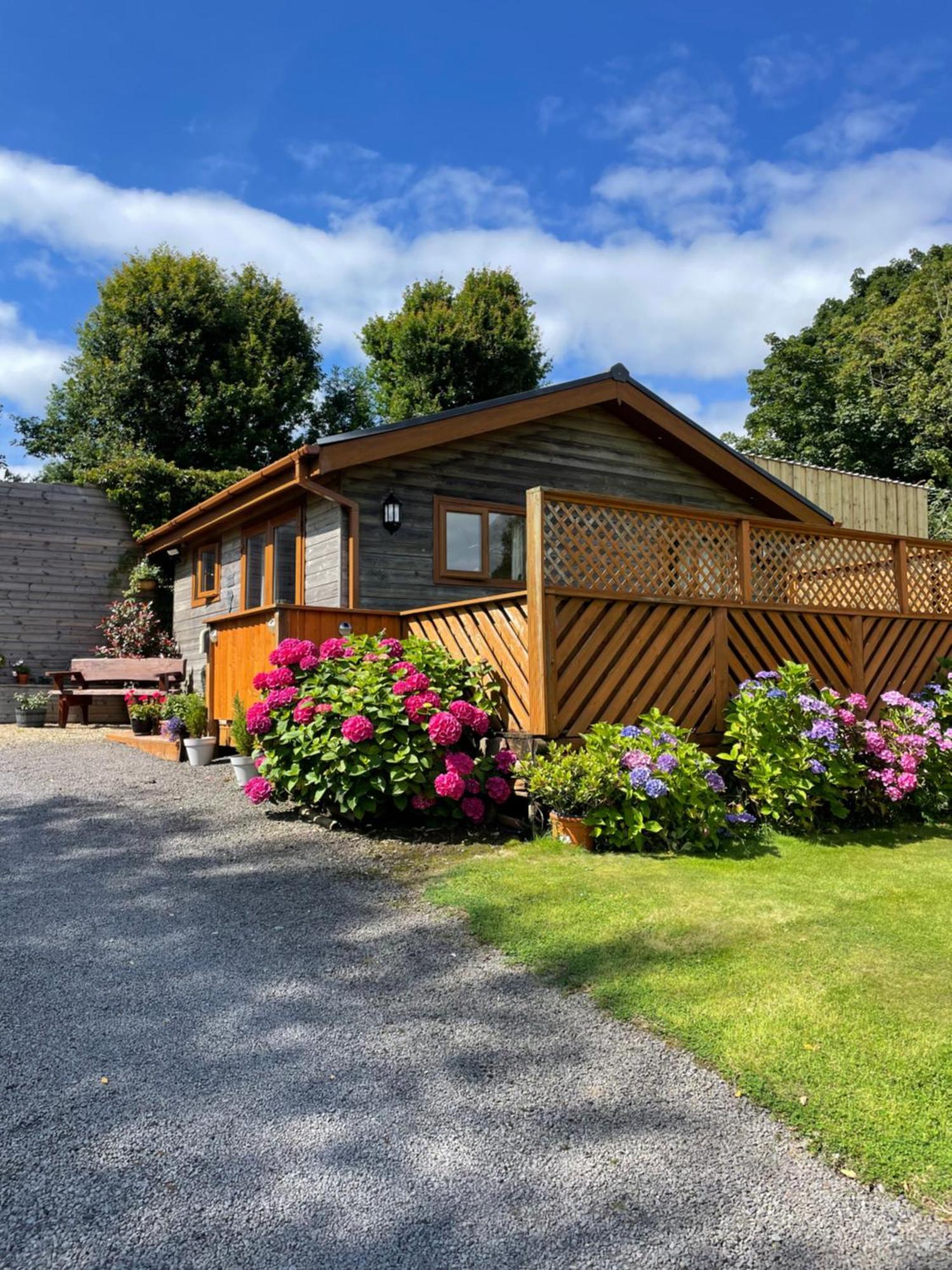 Swansea Log Cabin Pontardawe Extérieur photo