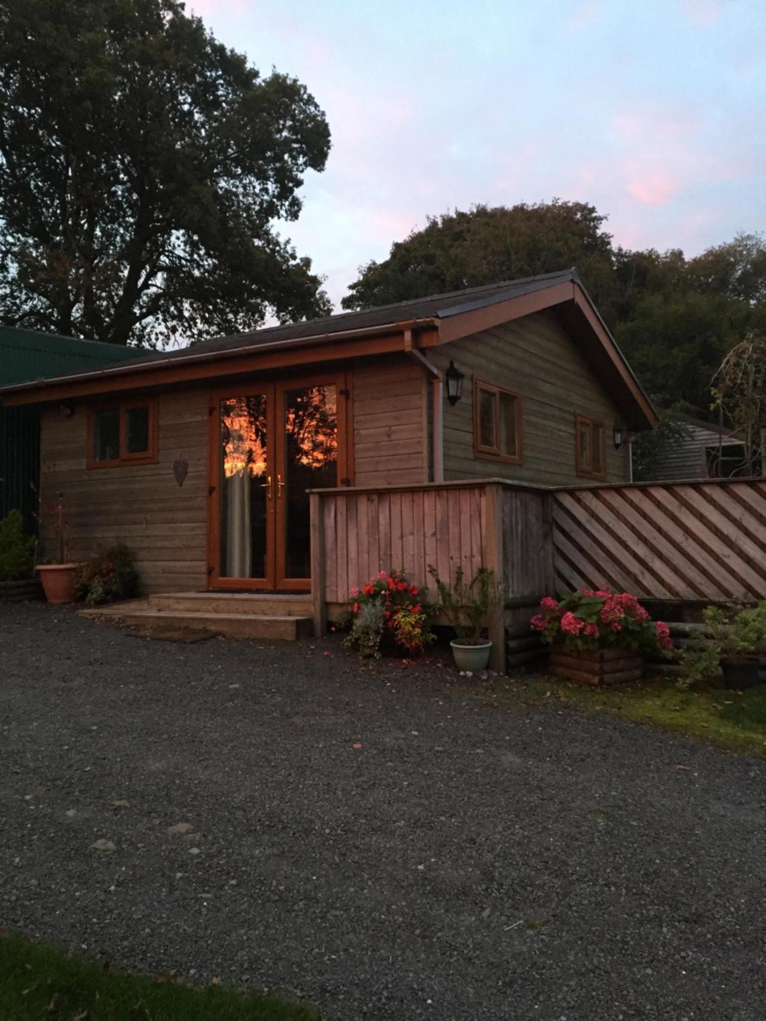 Swansea Log Cabin Pontardawe Extérieur photo