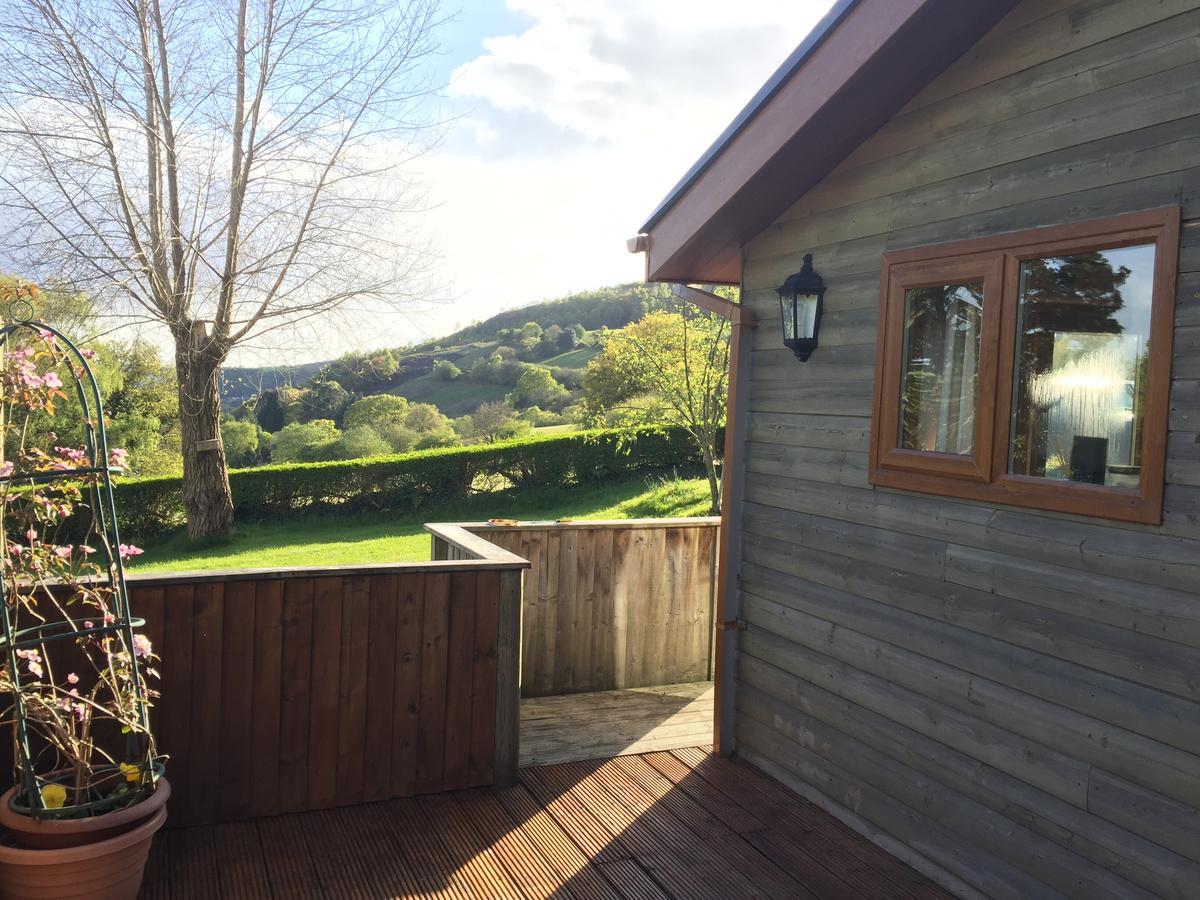 Swansea Log Cabin Pontardawe Extérieur photo