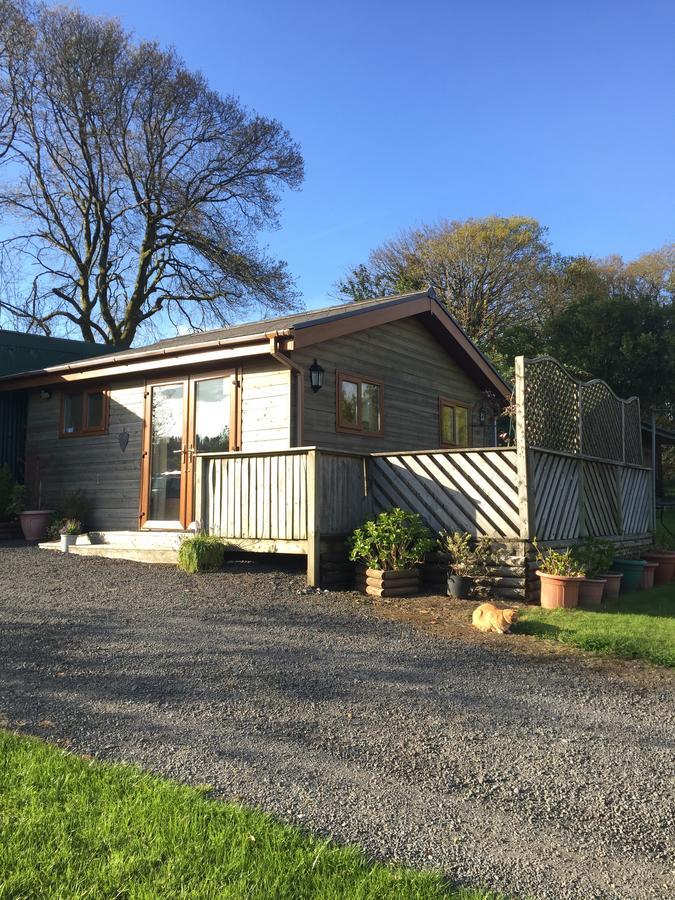 Swansea Log Cabin Pontardawe Extérieur photo