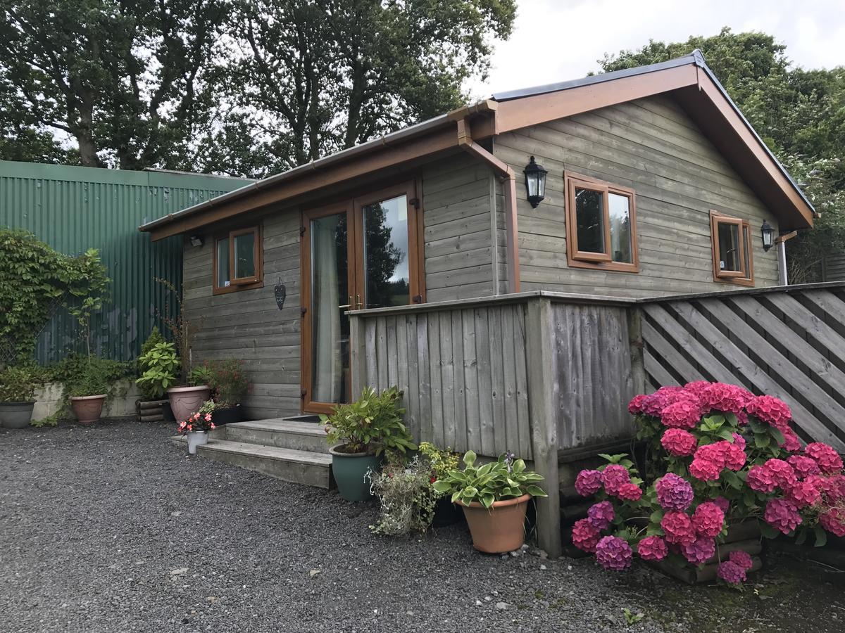 Swansea Log Cabin Pontardawe Extérieur photo