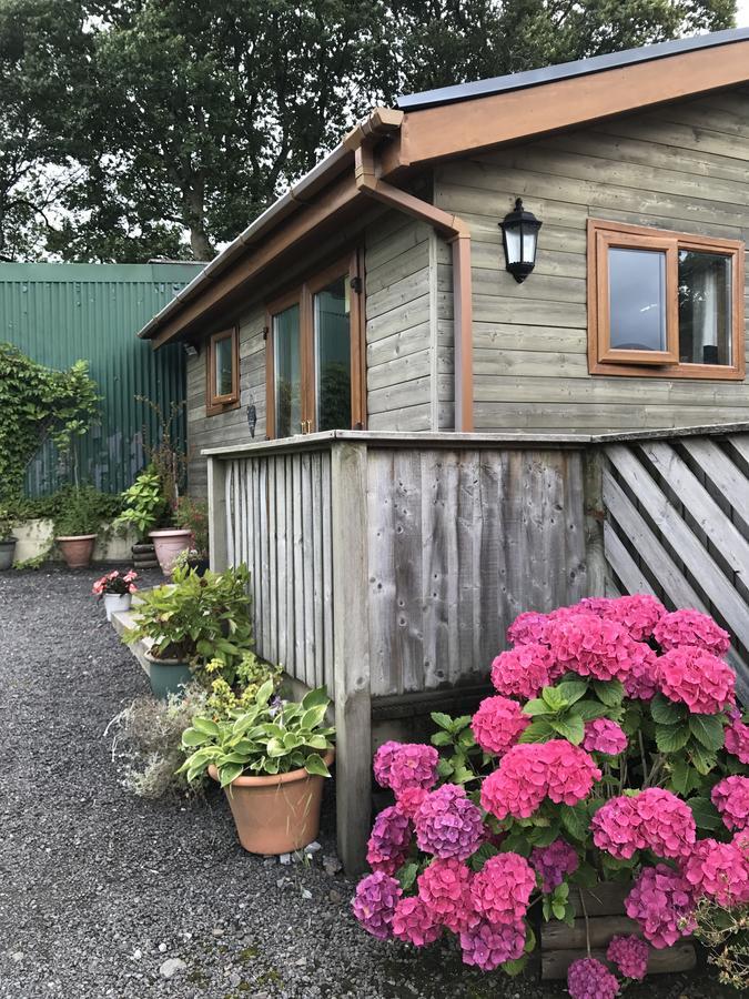 Swansea Log Cabin Pontardawe Extérieur photo