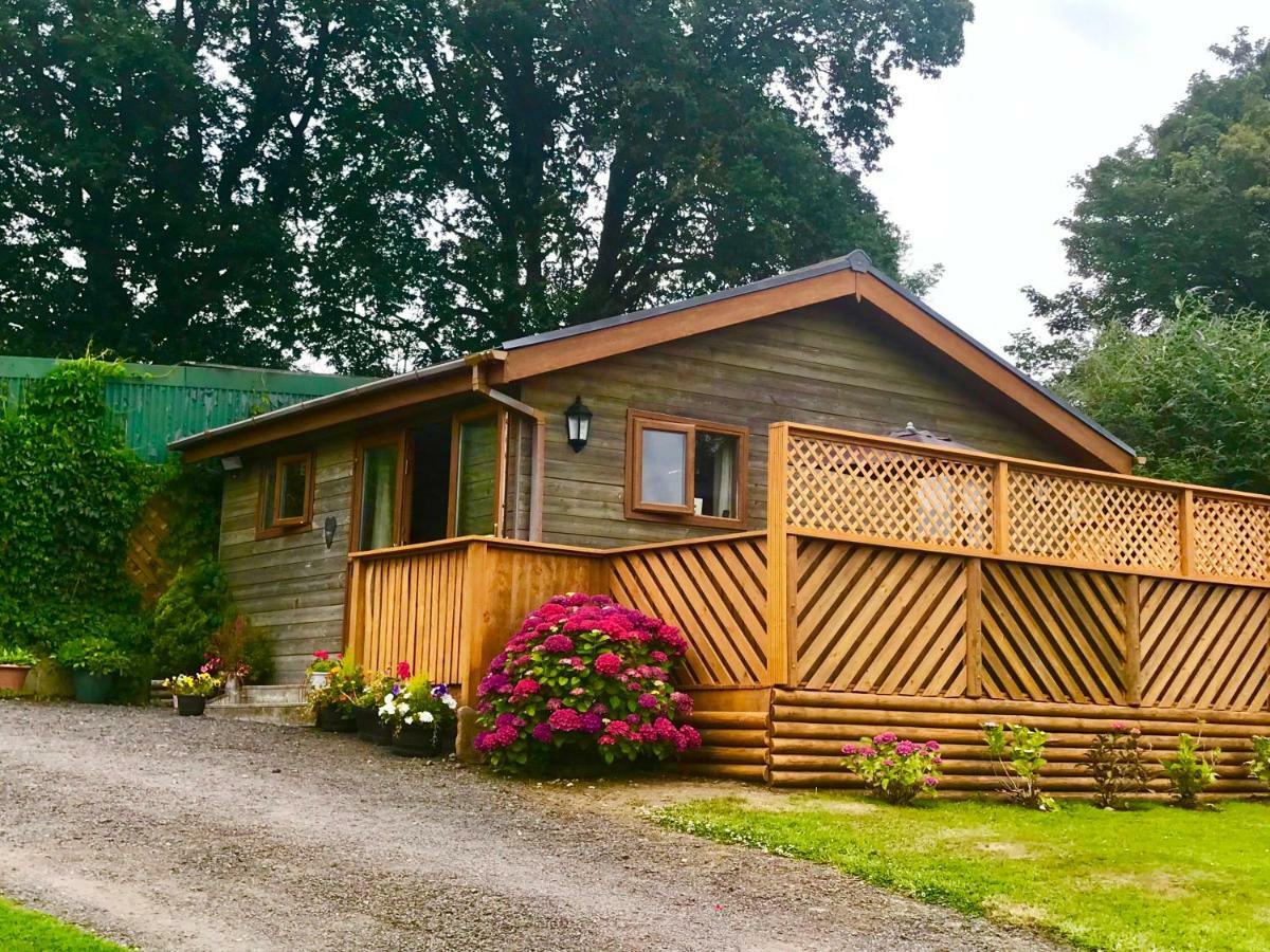 Swansea Log Cabin Pontardawe Extérieur photo
